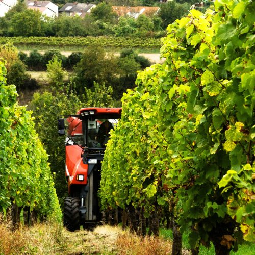 widok-ciagnika-na-polu